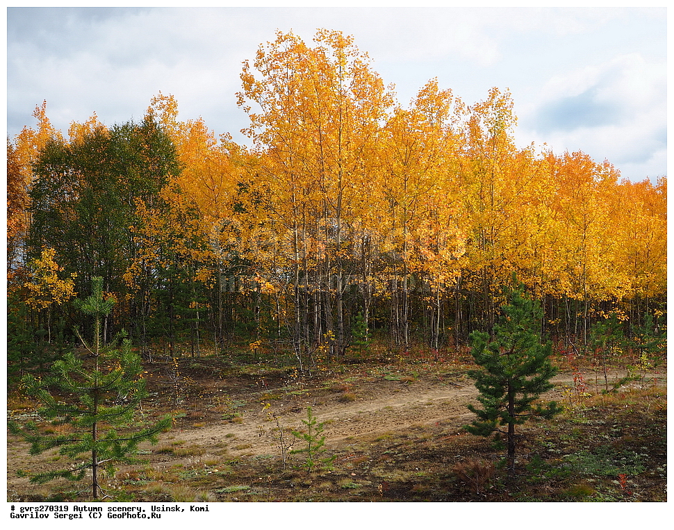 �����, ������, ������, ����, ���������� ����, ������