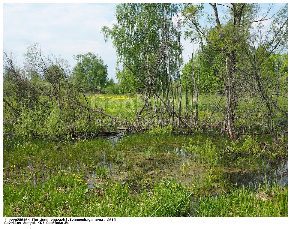 ������, ����, ����, ������, ���������� �������, 2015 ���