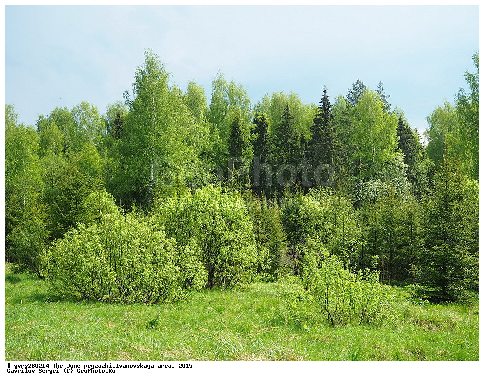 ������, ����, ����, ������, ���������� �������, 2015 ���