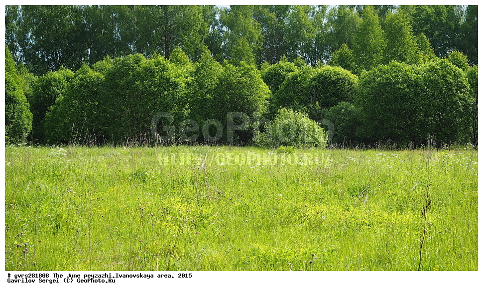 ������, ����, ����, ������, ���������� �������, 2015 ���