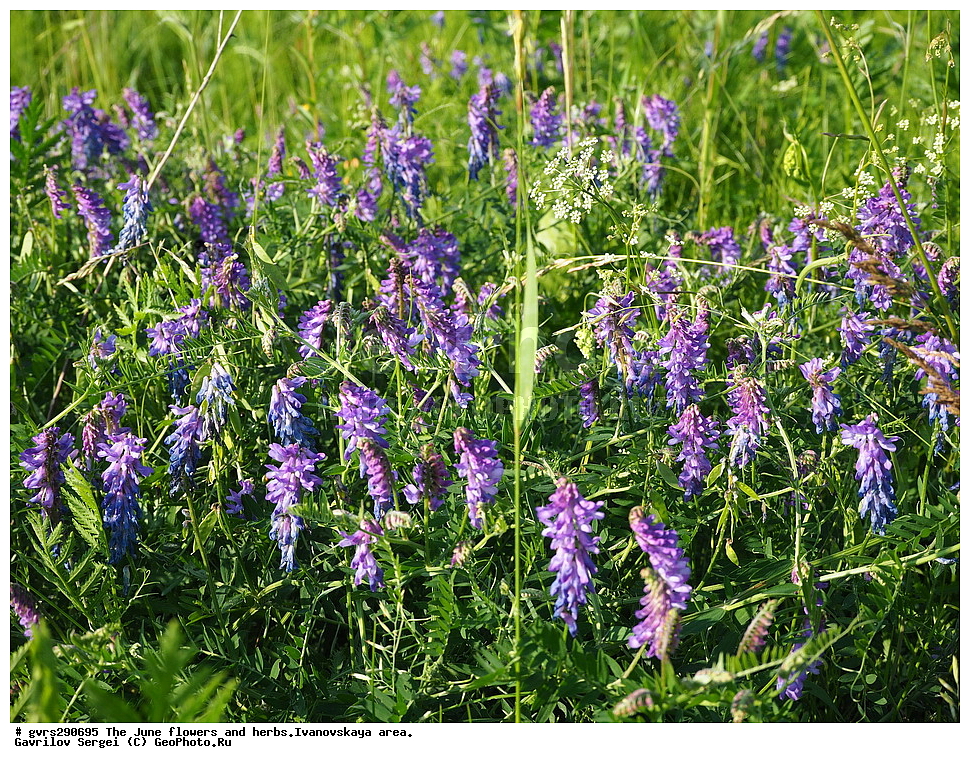 �����, �����, ����, ����, ������, ���������� �������