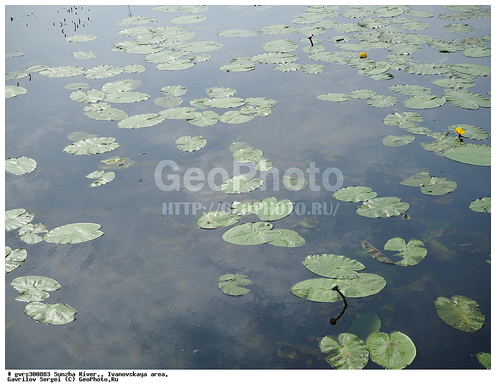 ����, �����, ������ �����, ��������� �����, ������, ���������� �������