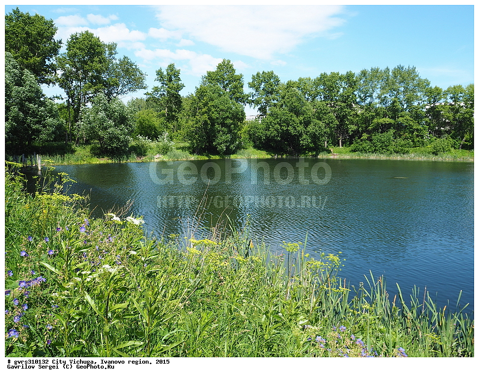 �����, ������, ���������� �������, ������, 2015 ���, �������� ������, �����������