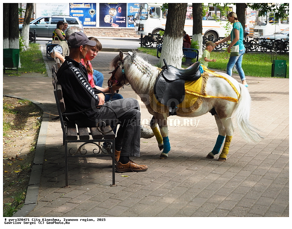 �����, �������, ���������� �������, ������, 2015 ���, �������� ������, �����������