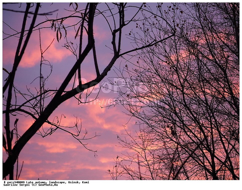 �����, ������, ���������� ����, ������, ������, �������