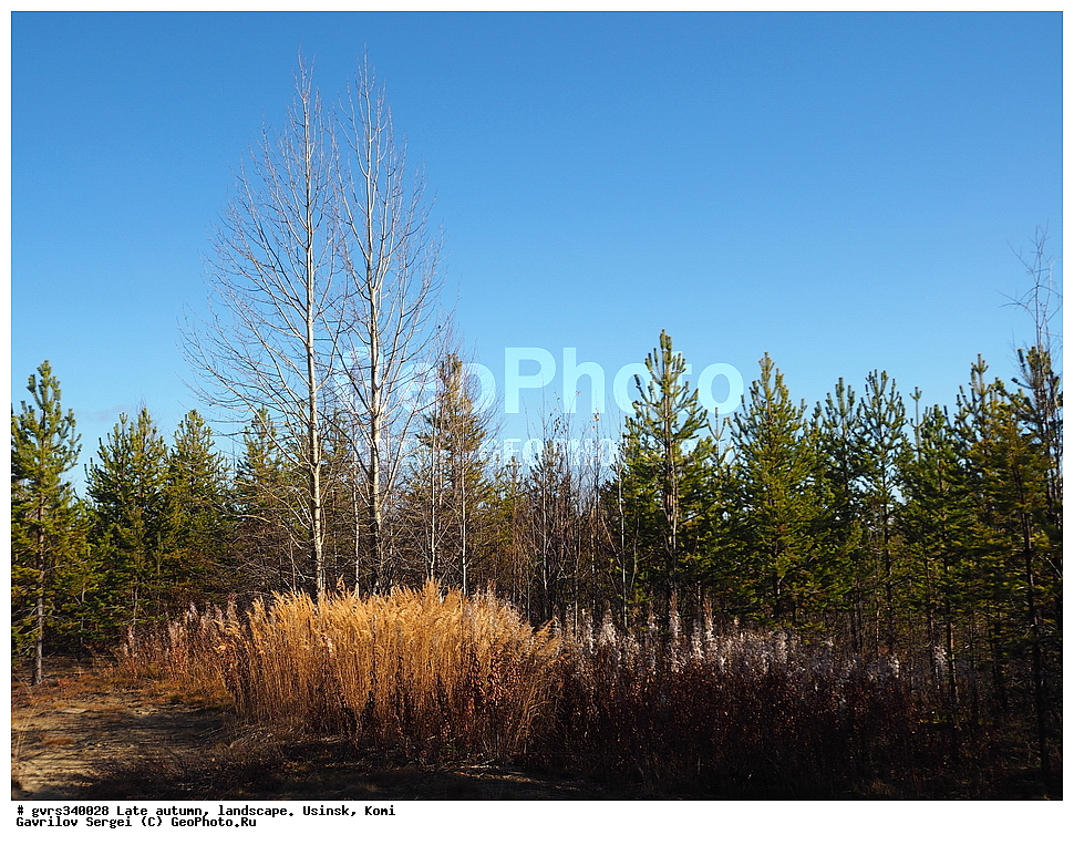 �����, ������, ���������� ����, ������, ������, �������