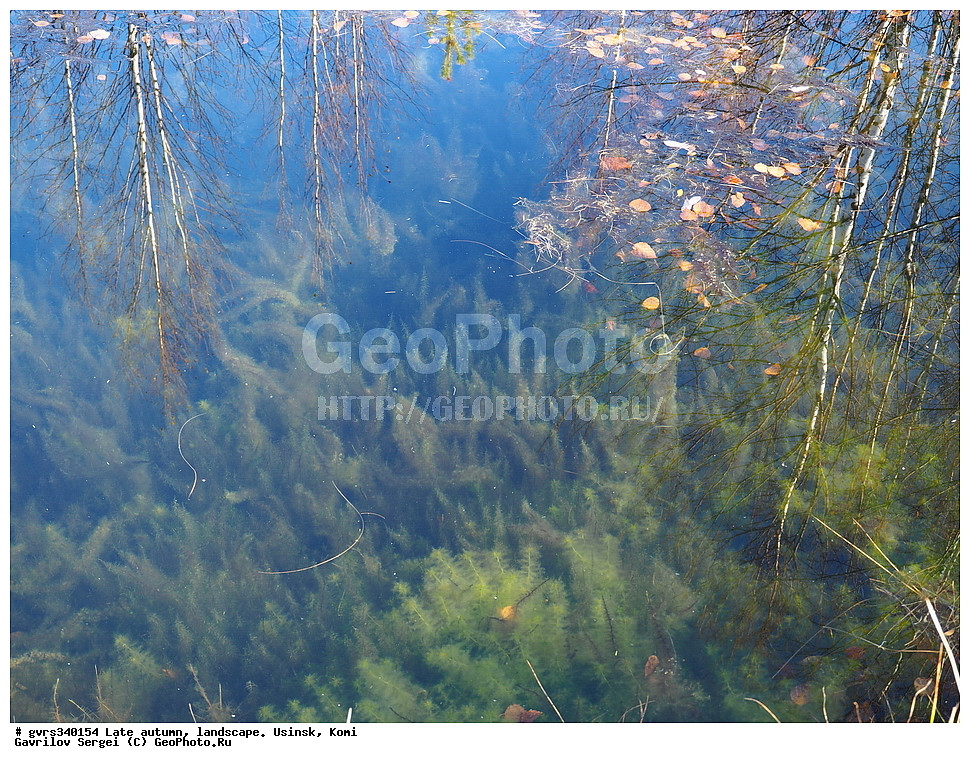 �����, ������, ���������� ����, ������, ������, �������