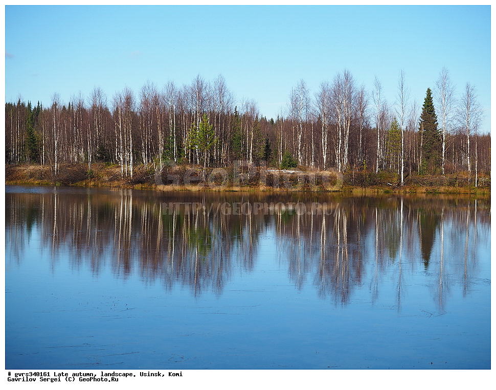 �����, ������, ���������� ����, ������, ������, �������