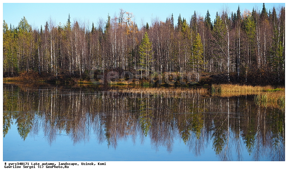 �����, ������, ���������� ����, ������, ������, �������