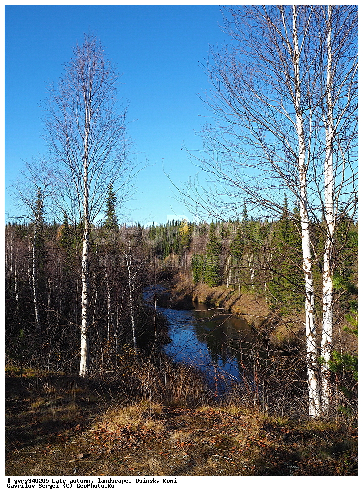 �����, ������, ���������� ����, ������, ������, �������