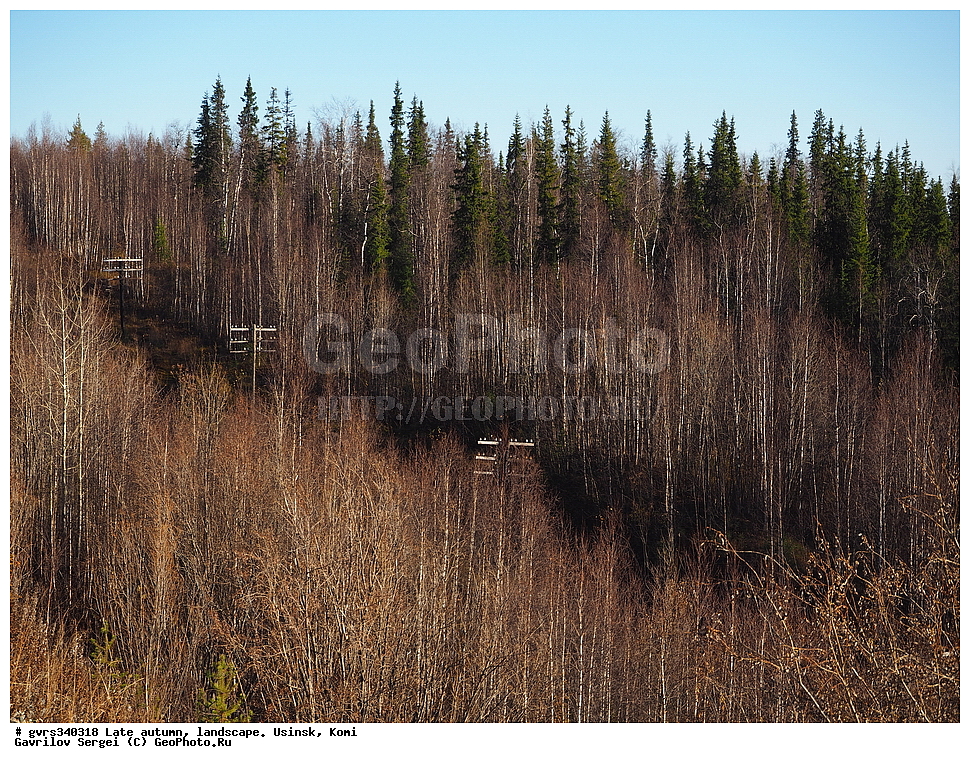 �����, ������, ���������� ����, ������, ������, �������