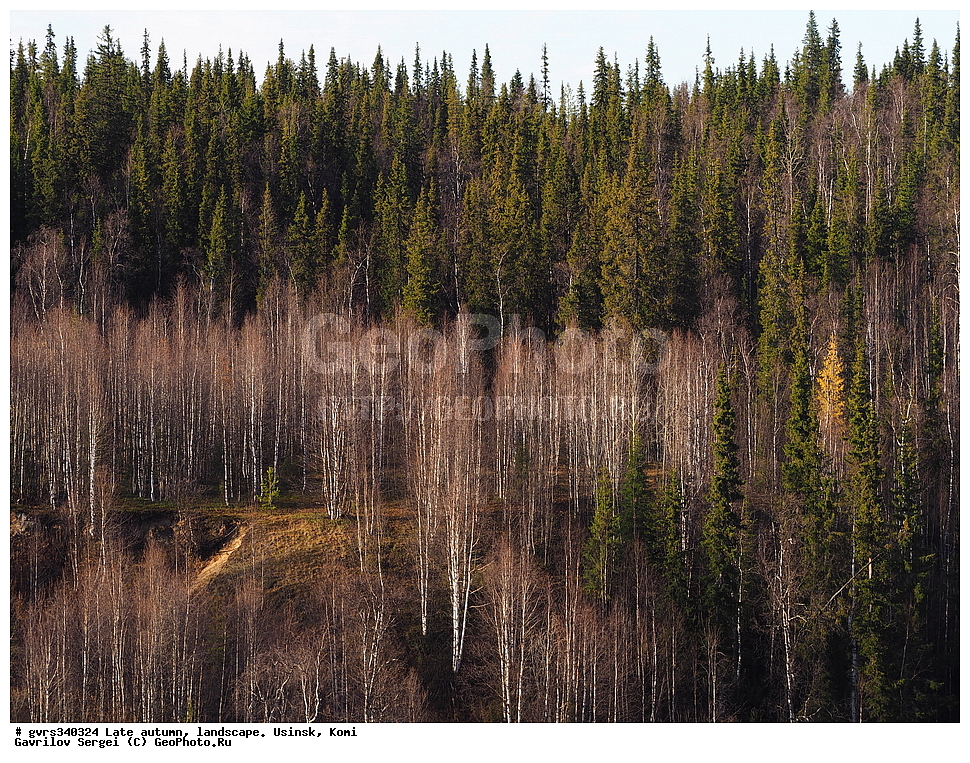 �����, ������, ���������� ����, ������, ������, �������