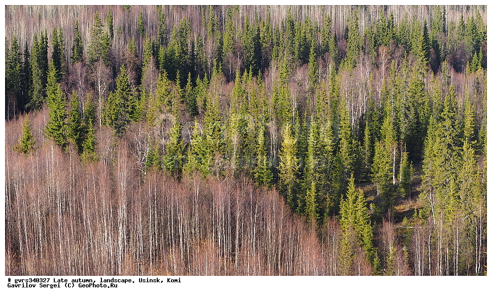 �����, ������, ���������� ����, ������, ������, �������