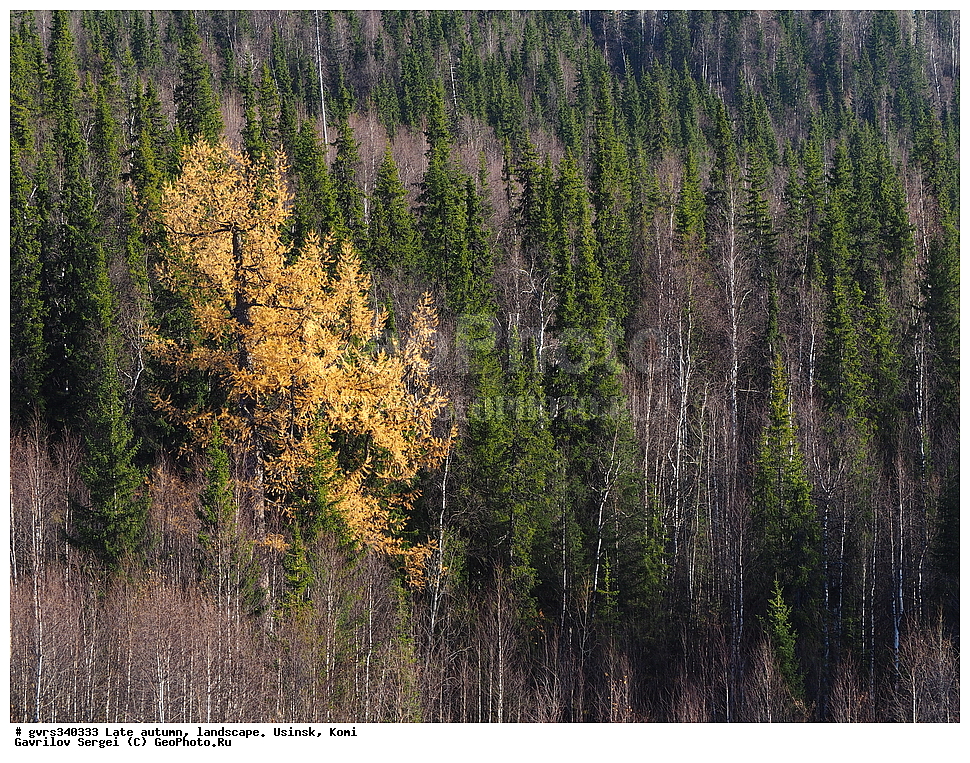 �����, ������, ���������� ����, ������, ������, �������