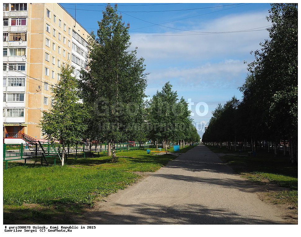 �����, ������, ����, ����������, 2015