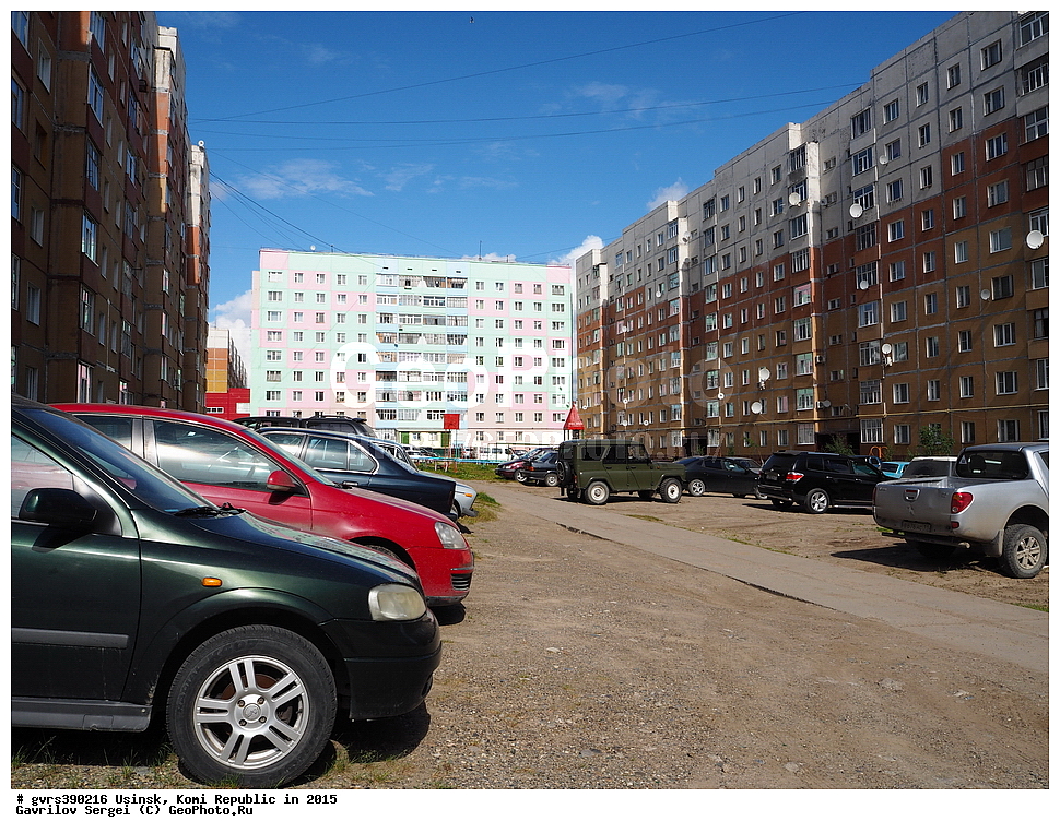 �����, ������, ����, ����������, 2015