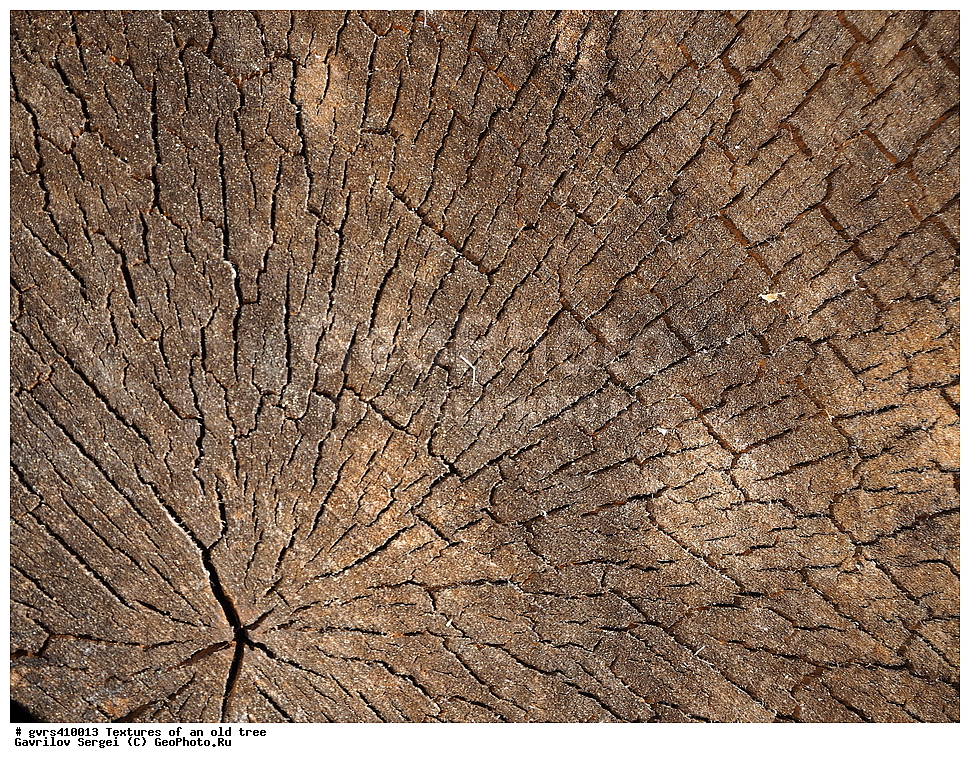 �������, ��������, ������, ������