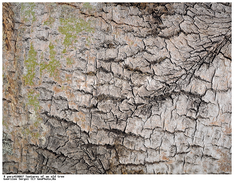 �������, ��������, ������, ������