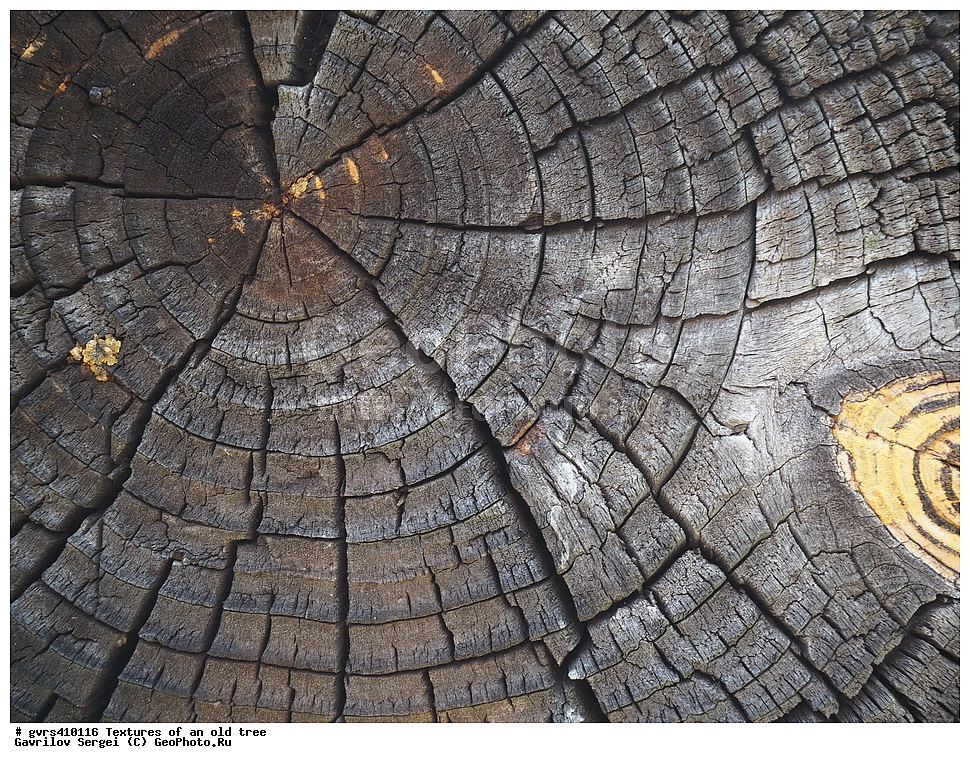 �������, ��������, ������, ������