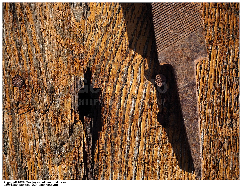 �������, ��������, ������, ������