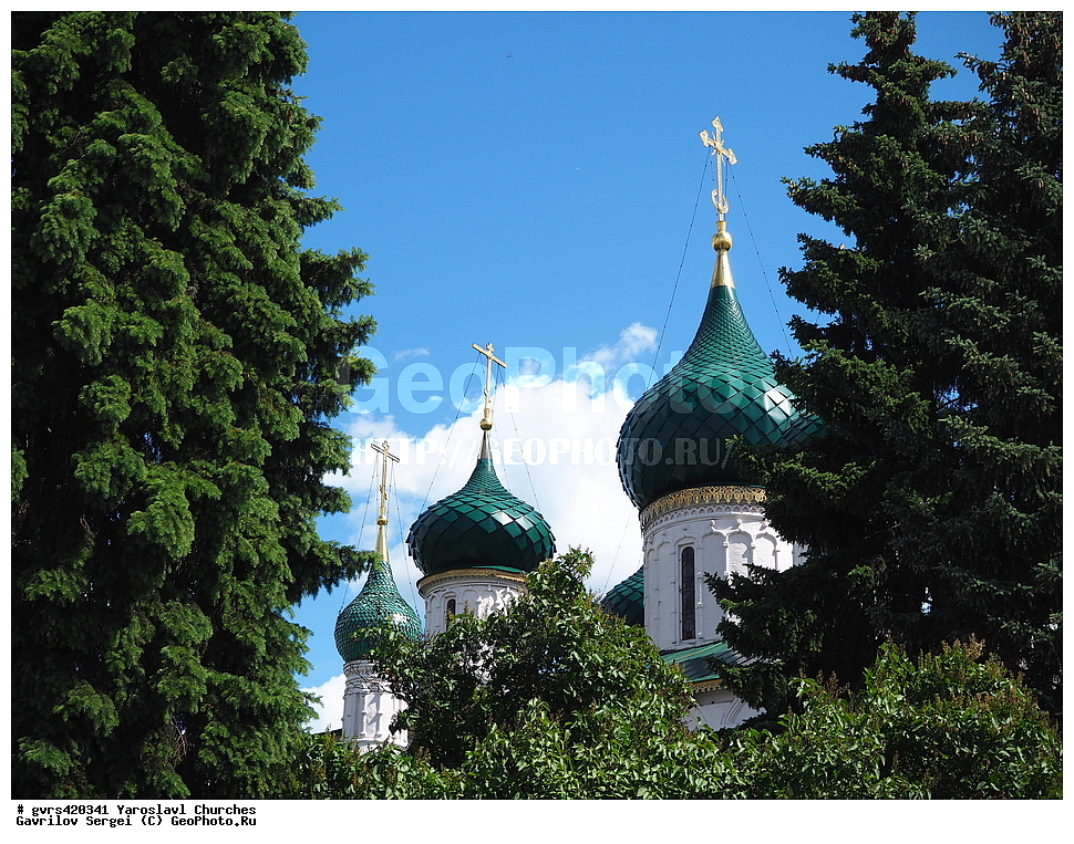 ����, ���������, ������, �������, �����������