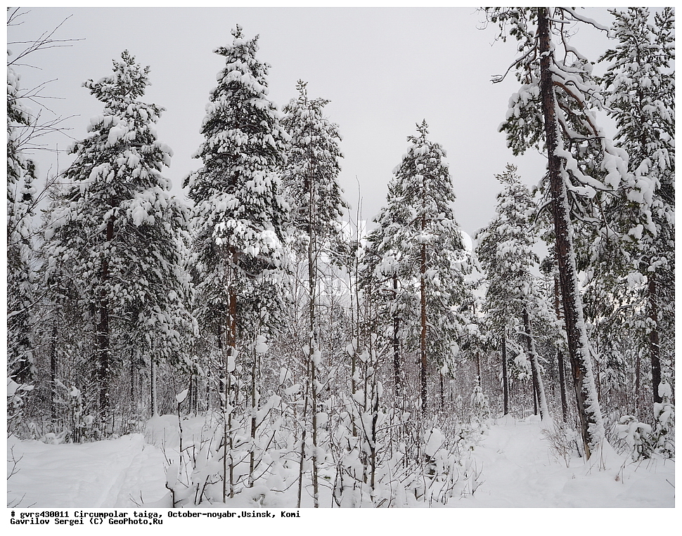 ����������� �����, �����, �������, ������, ������, ����