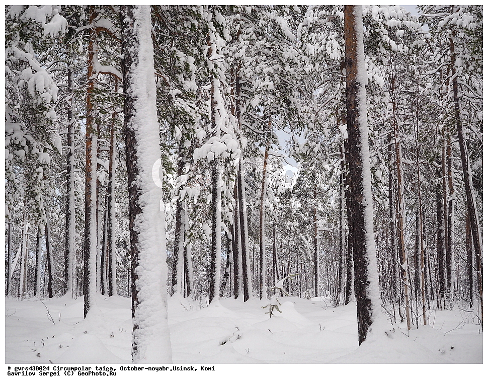 ����������� �����, �����, �������, ������, ������, ����