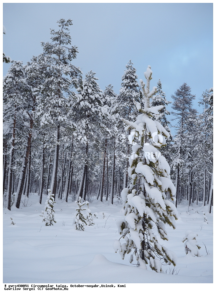 ����������� �����, �����, �������, ������, ������, ����