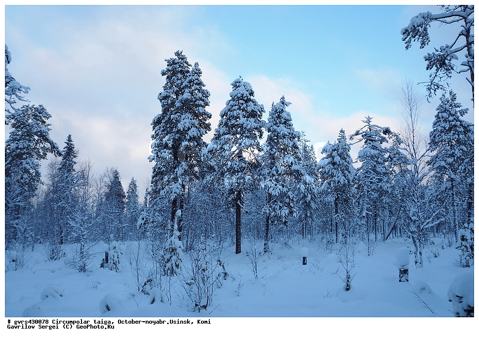 ����������� �����, �����, �������, ������, ������, ����