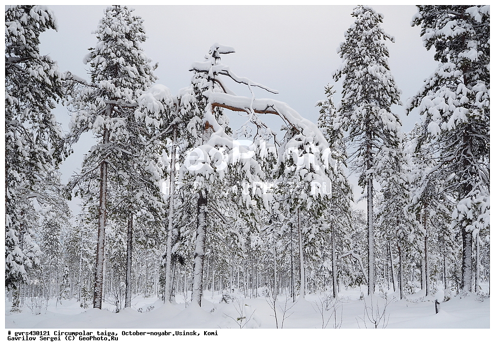 ����������� �����, �����, �������, ������, ������, ����