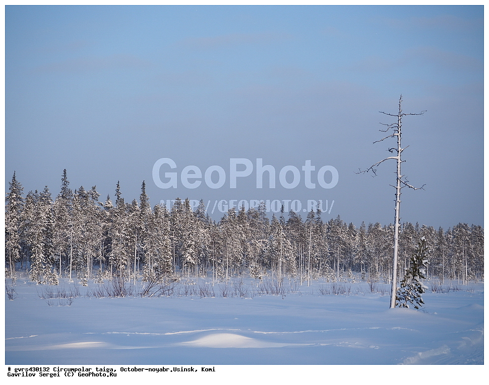 ����������� �����, �����, �������, ������, ������, ����