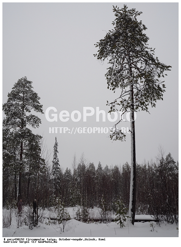 ����������� �����, �����, �������, ������, ������, ����