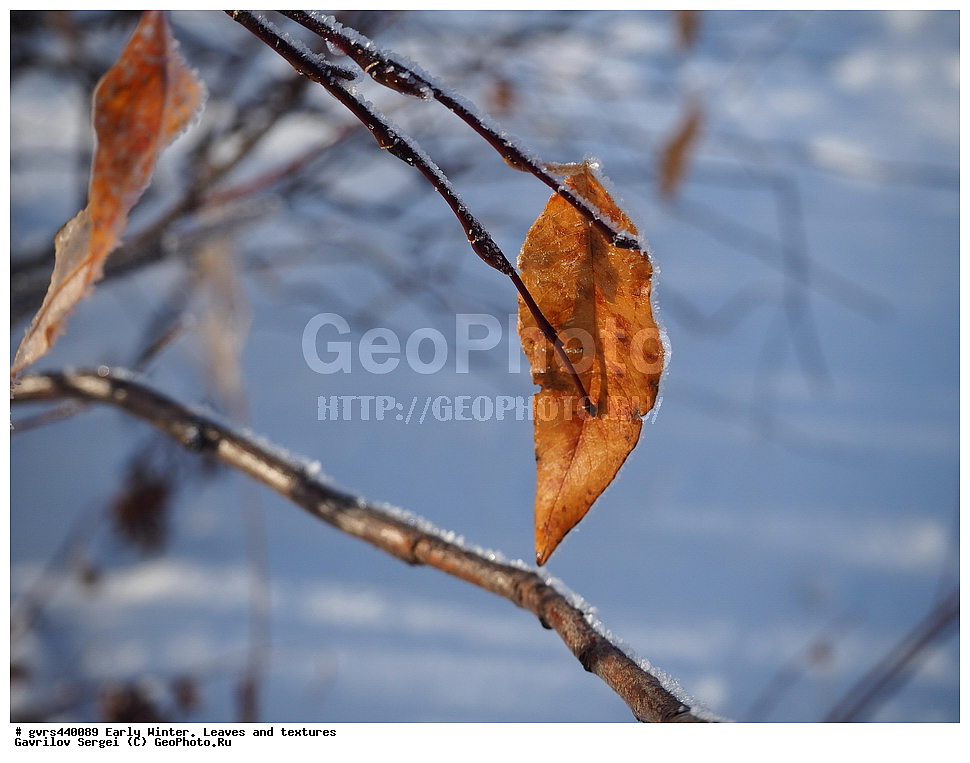 ����, ������, �������