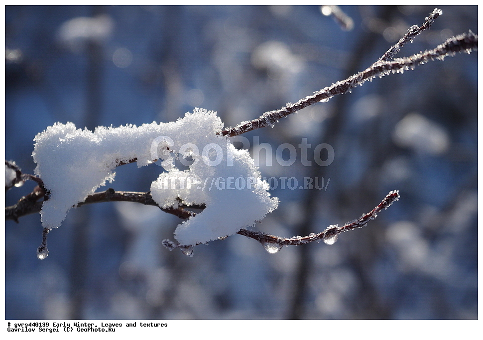 ����, ������, �������