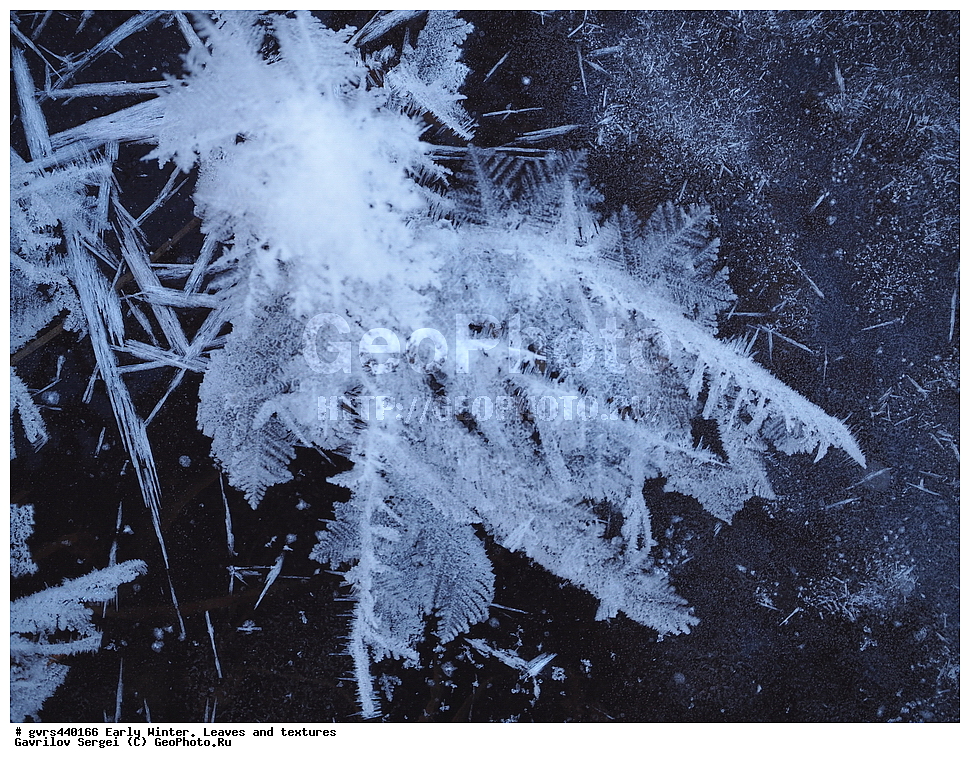 ����, ������, �������