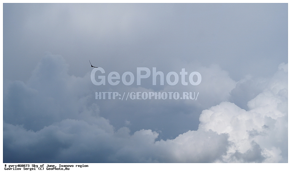 ����, ����, ����, ���������� �������, ������, ������, ������