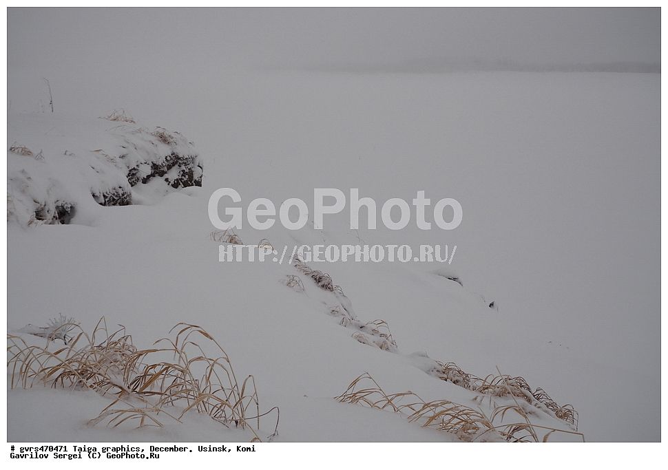 �����, �������, �������, ����, ������, ����, ����