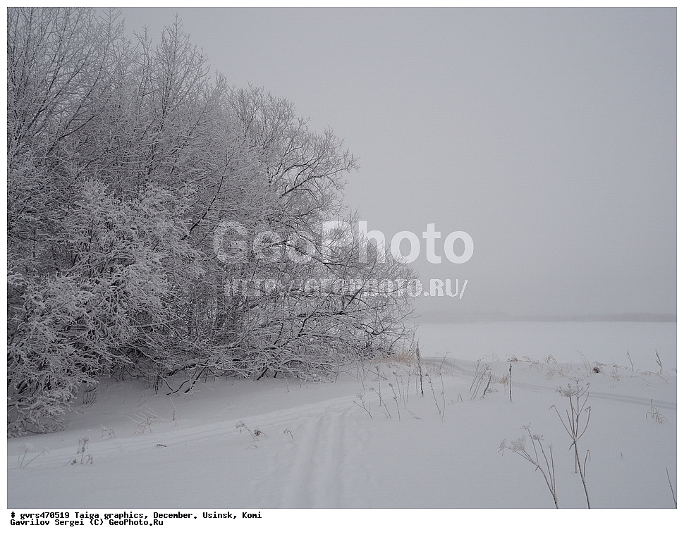 �����, �������, �������, ����, ������, ����, ����