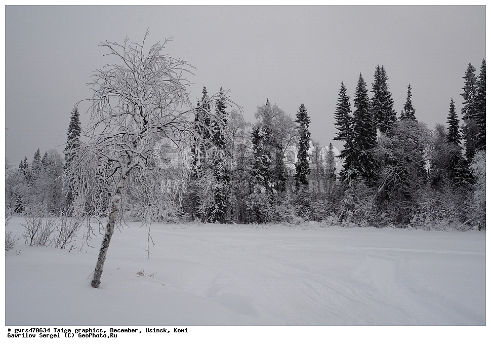 �����, �������, �������, ����, ������, ����, ����