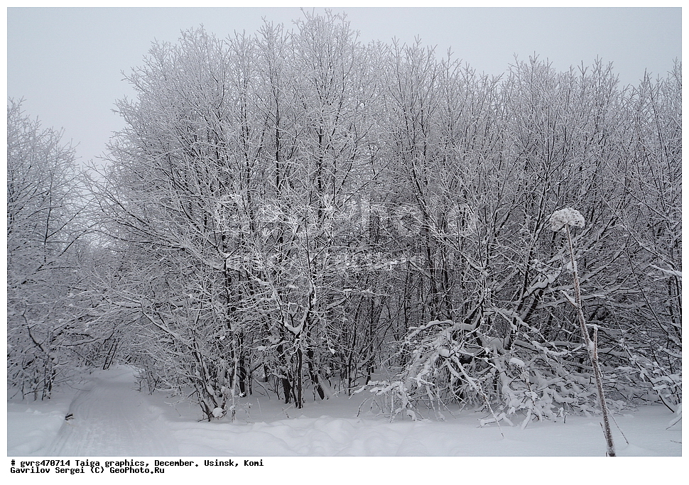 �����, �������, �������, ����, ������, ����, ����