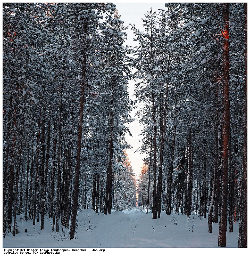 ����, �����, �������, ������, ����, ������