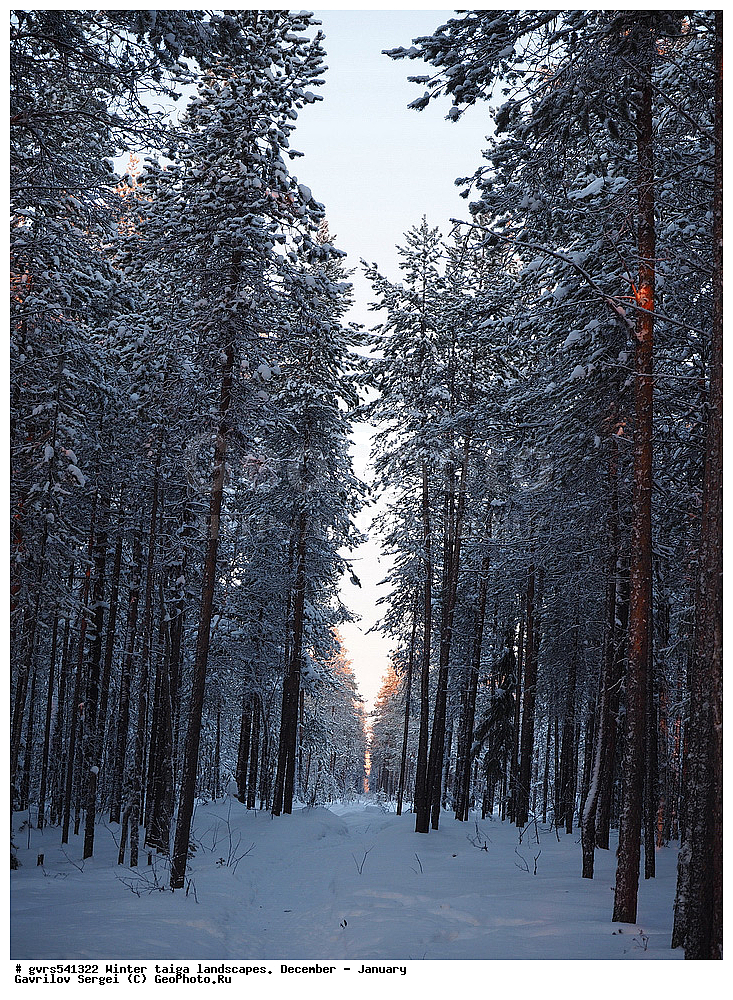 ����, �����, �������, ������, ����, ������