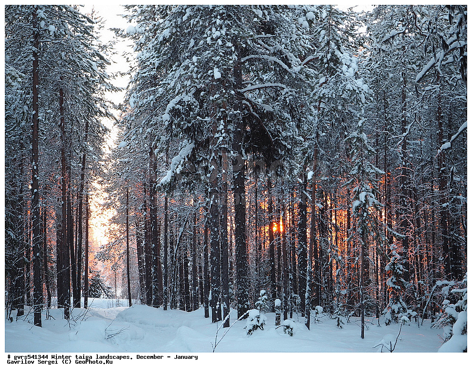 ����, �����, �������, ������, ����, ������