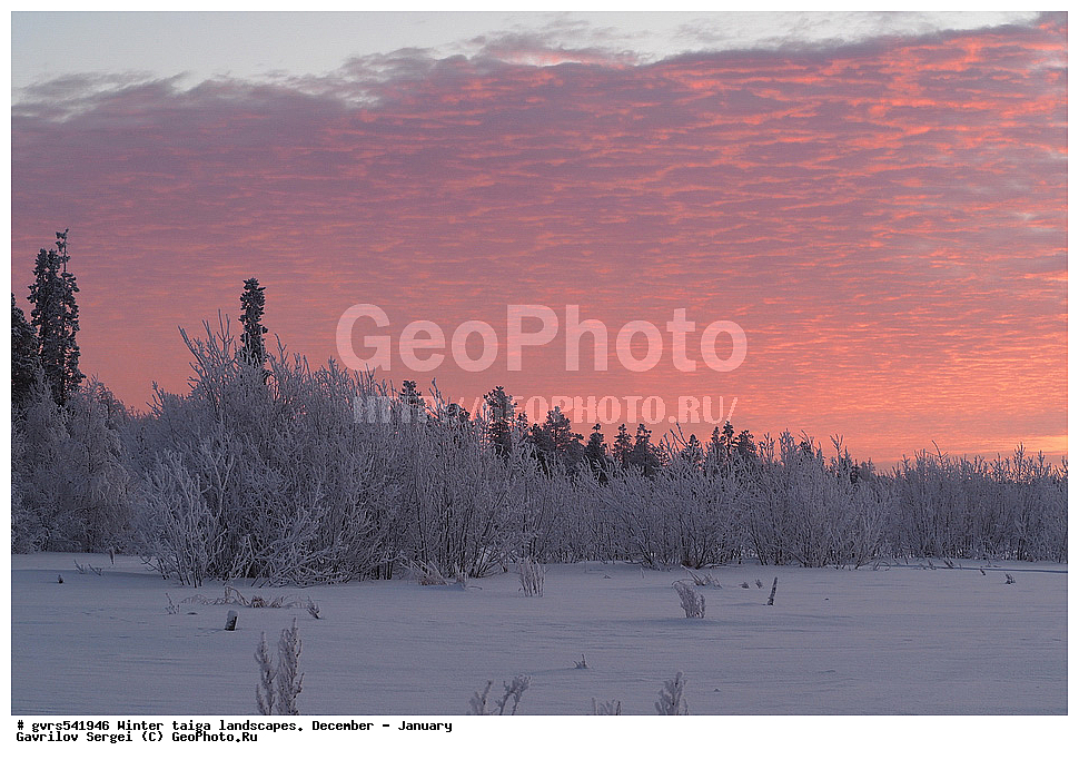 ����, �����, �������, ������, ����, ������