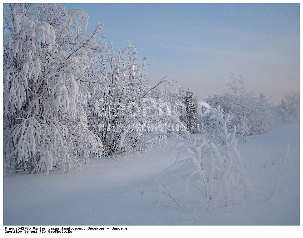 ����, �����, �������, ������, ����, ������