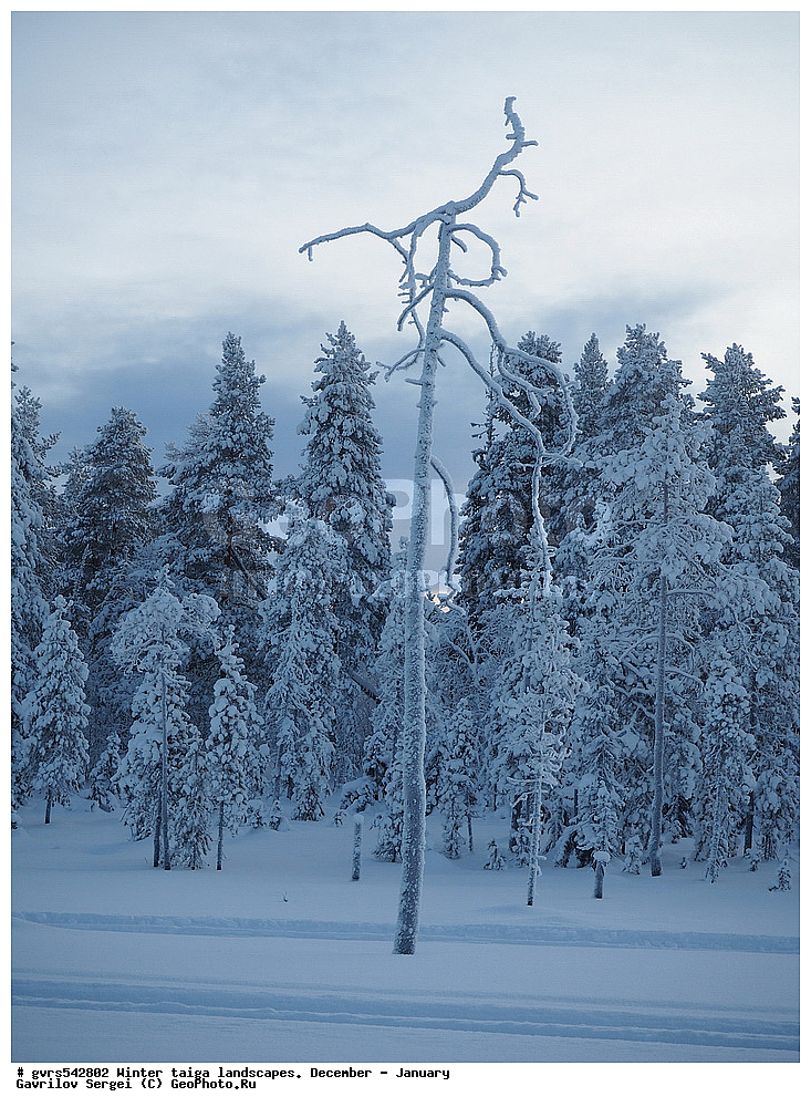 ����, �����, �������, ������, ����, ������