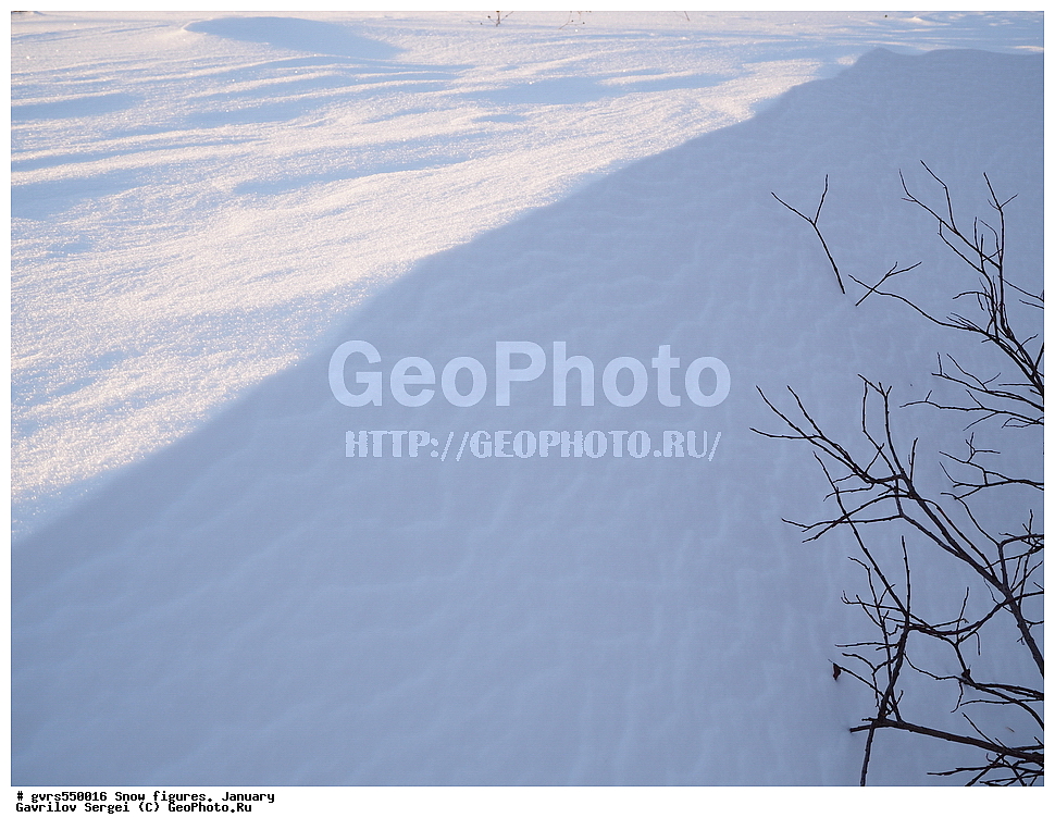 ������� �������, ����, ����, �������