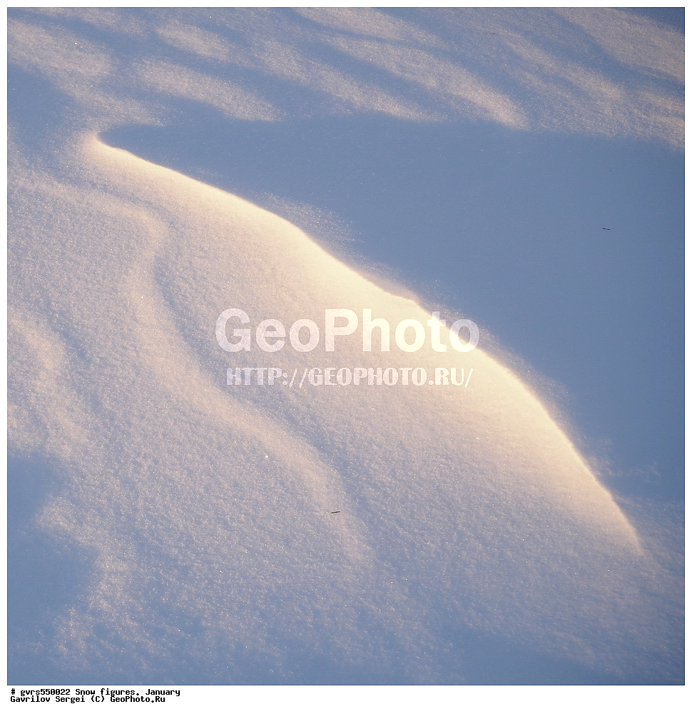 ������� �������, ����, ����, �������