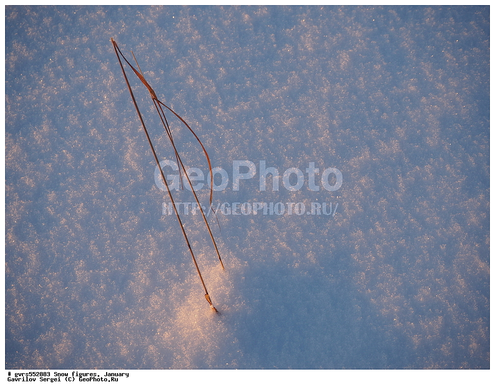 ������� �������, ����, ����, �������