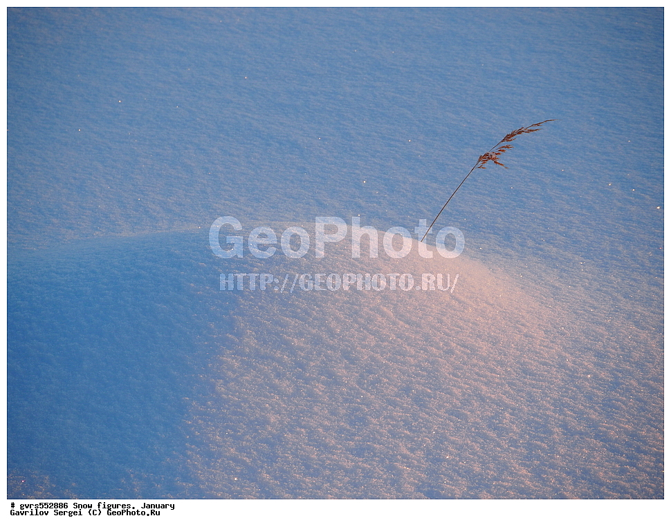 ������� �������, ����, ����, �������